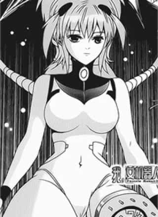 I The Female Robot