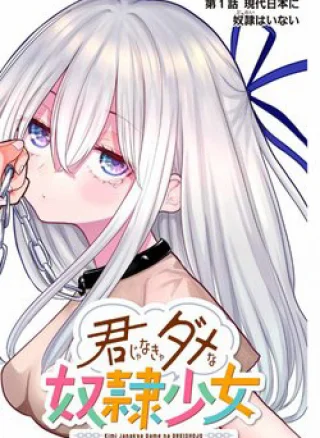 Kimi janakya Dame na Dorei Shoujo