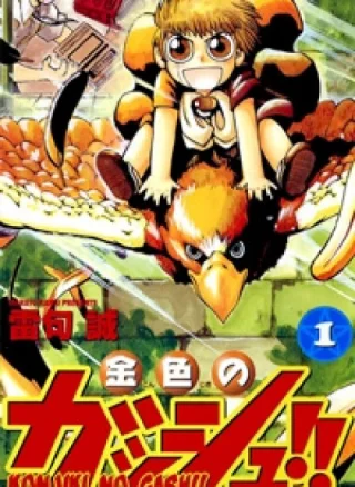 Konjiki no Gash!!