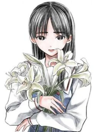 Madonna Lily