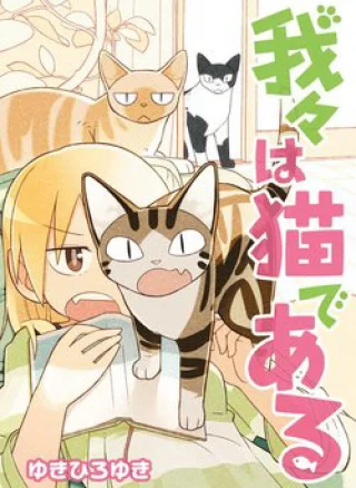 We are cat