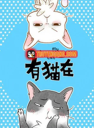 Ở Đây Có Mèo